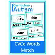 CVCe Words Match Large Print Phonics Clip Cards